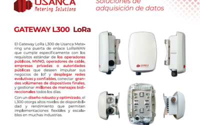 Nuevo gateway Lora L300